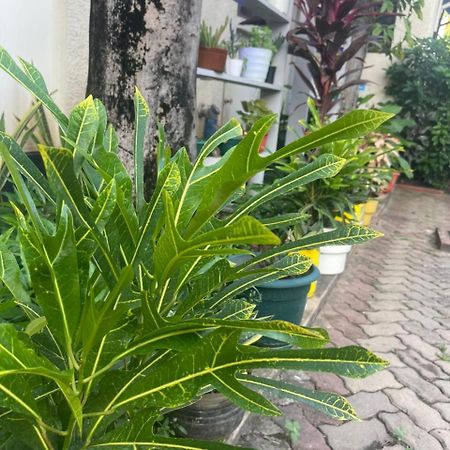 L&J Modern Backpackers Kinondoni Panzió Dár Al-Szalám Kültér fotó