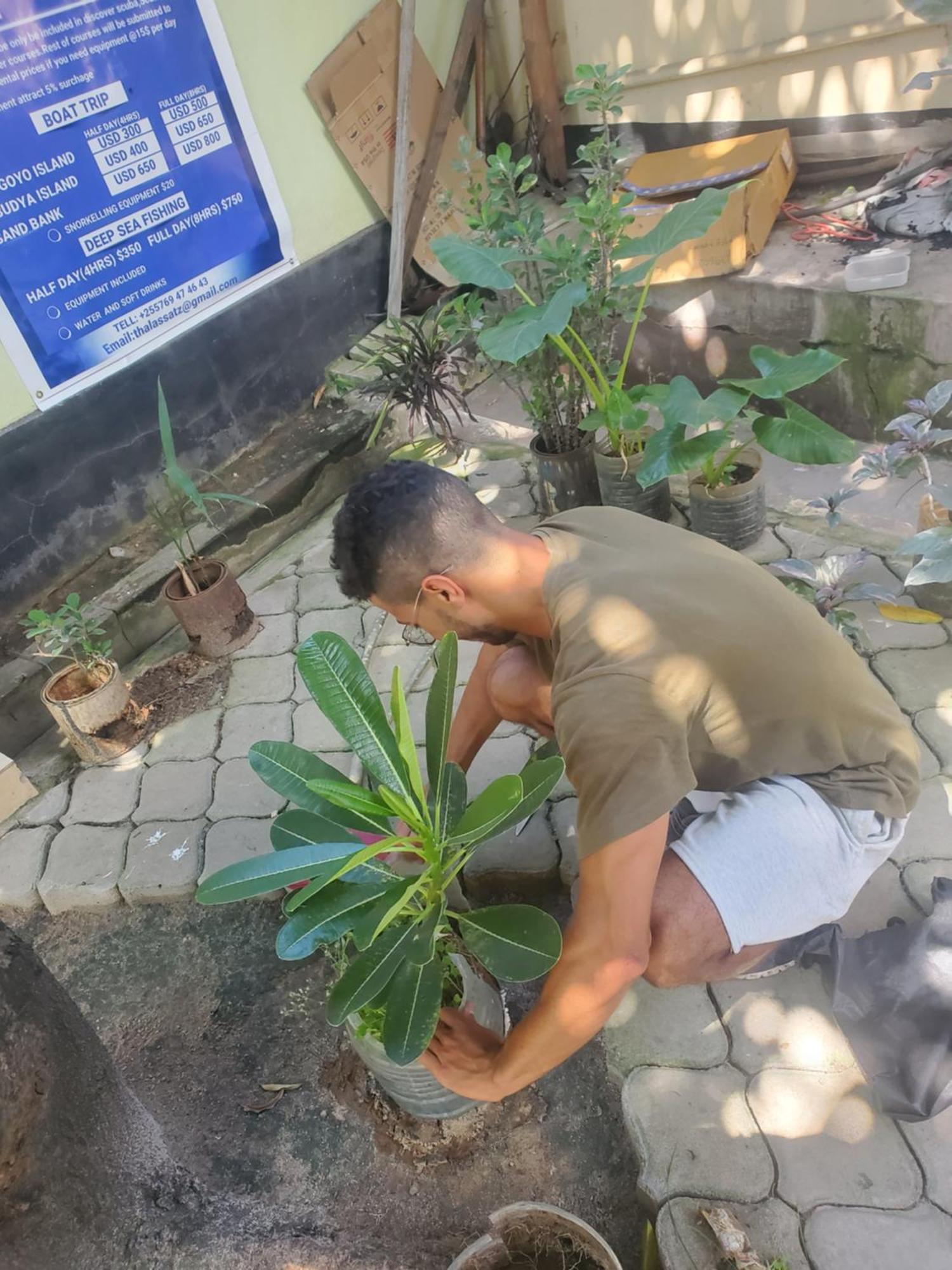 L&J Modern Backpackers Kinondoni Panzió Dár Al-Szalám Kültér fotó